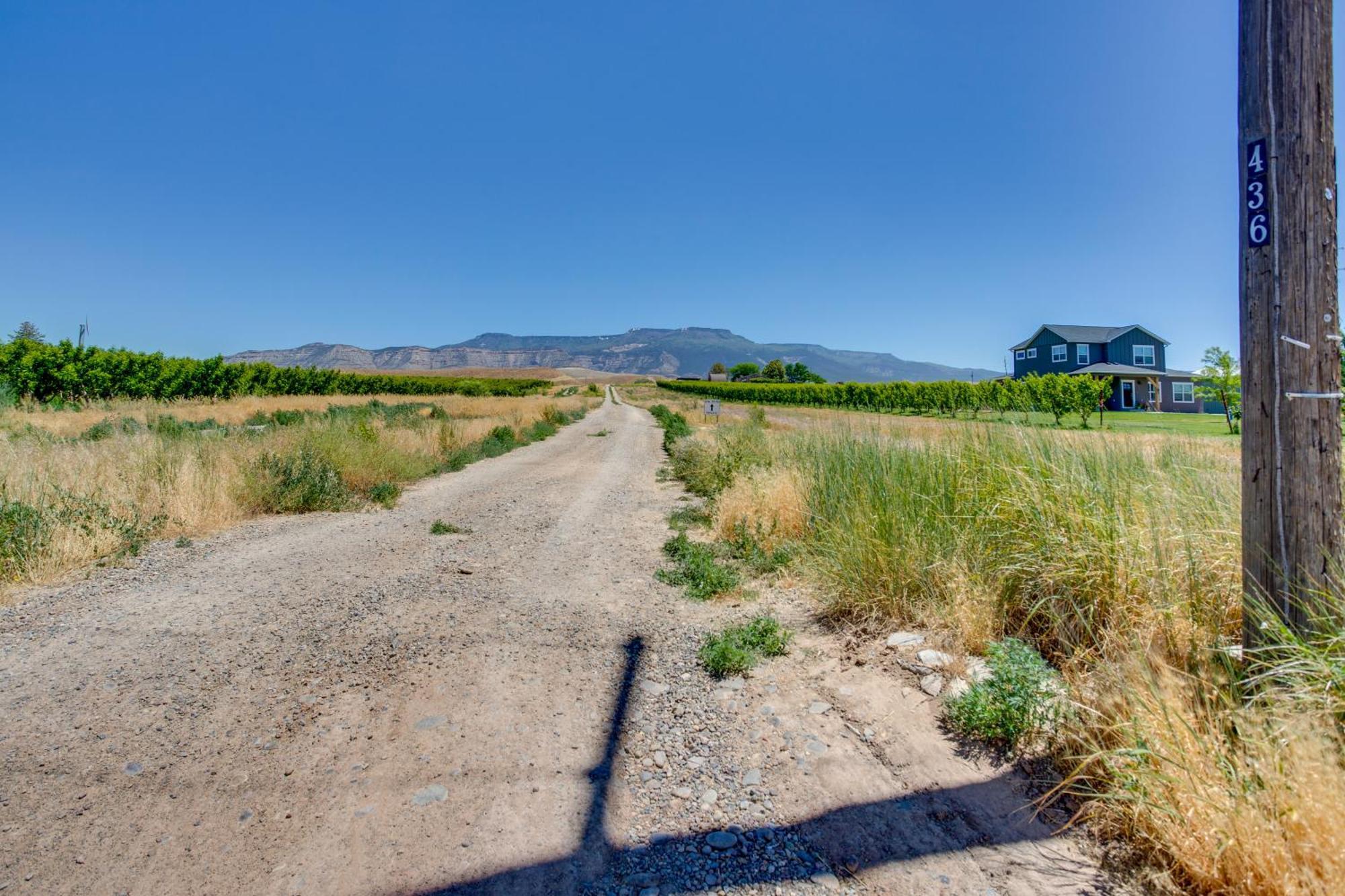 Mesa View House With Hot Tub Walk To Winery! Villa Palisade Dış mekan fotoğraf